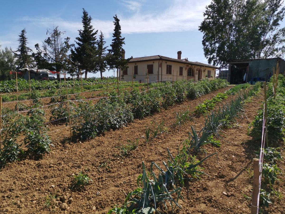 Masseria Le Querciole Fauglia Exterior photo